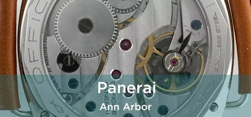 Panerai Ann Arbor