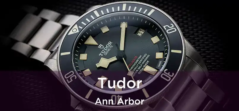 Tudor Ann Arbor