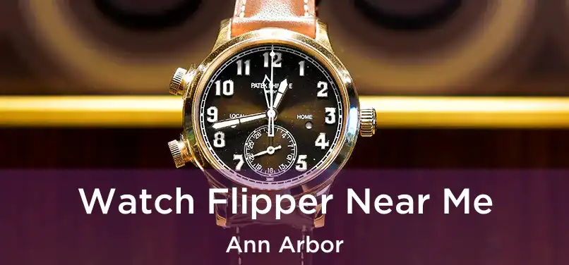 Watch Flipper Near Me Ann Arbor